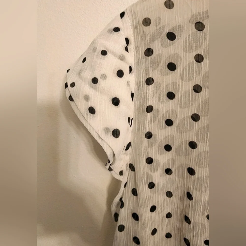 Flash Sale: Polka Dot Ruffle Blouse - Picture 5 of 6